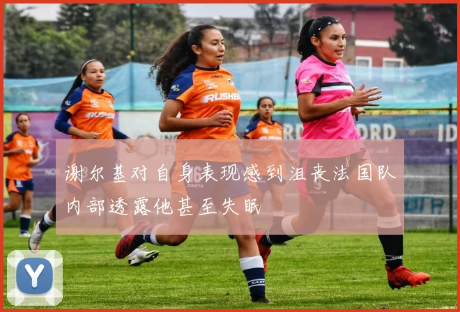 谢尔基对自身表现感到沮丧法国队内部透露他甚至失眠