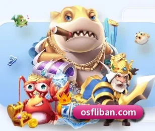 aoa网页版入口的故事